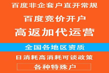 揭秘成功的关键词竞价排名背后的策略与执行
